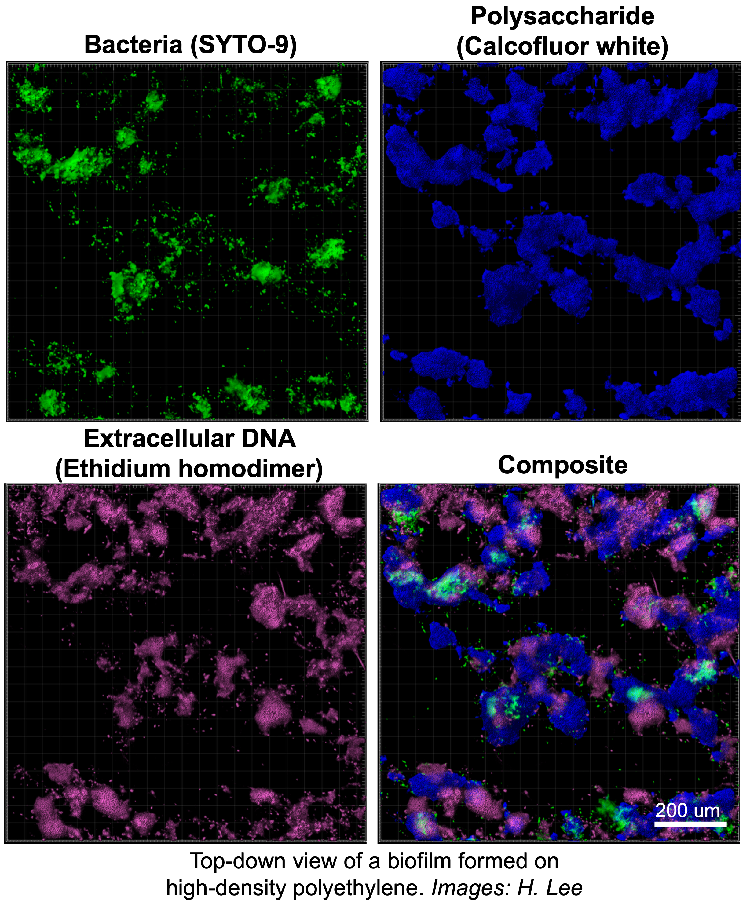 research-image